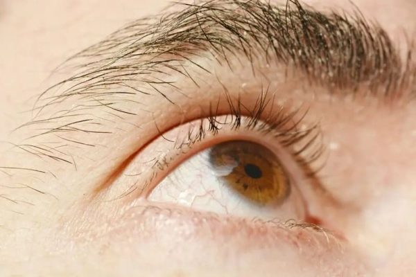 Lash botox Lash botox chez Hemera, institut de beauté à Lille